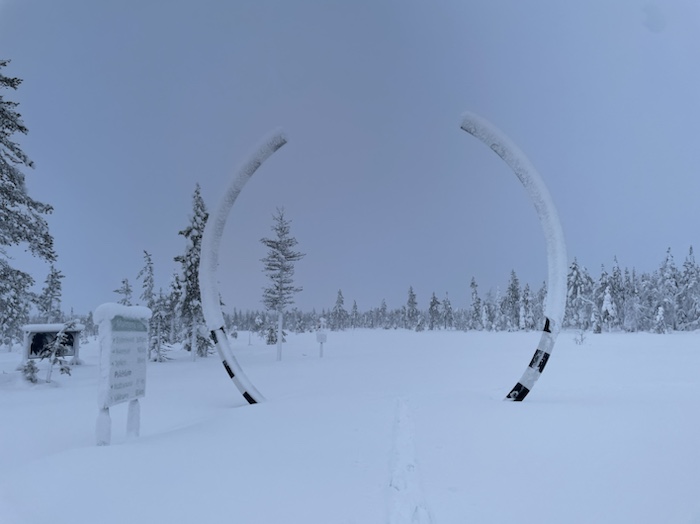 Polcirkelkojan 8-9/1 2023