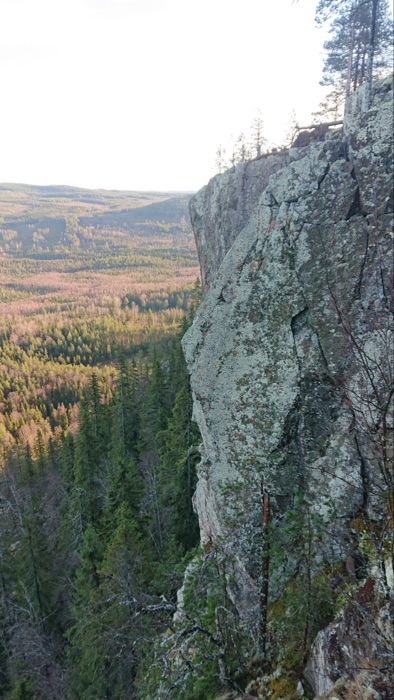 Vandring till Hänghuvudets Naturreservat 3/11&nbsp;2020