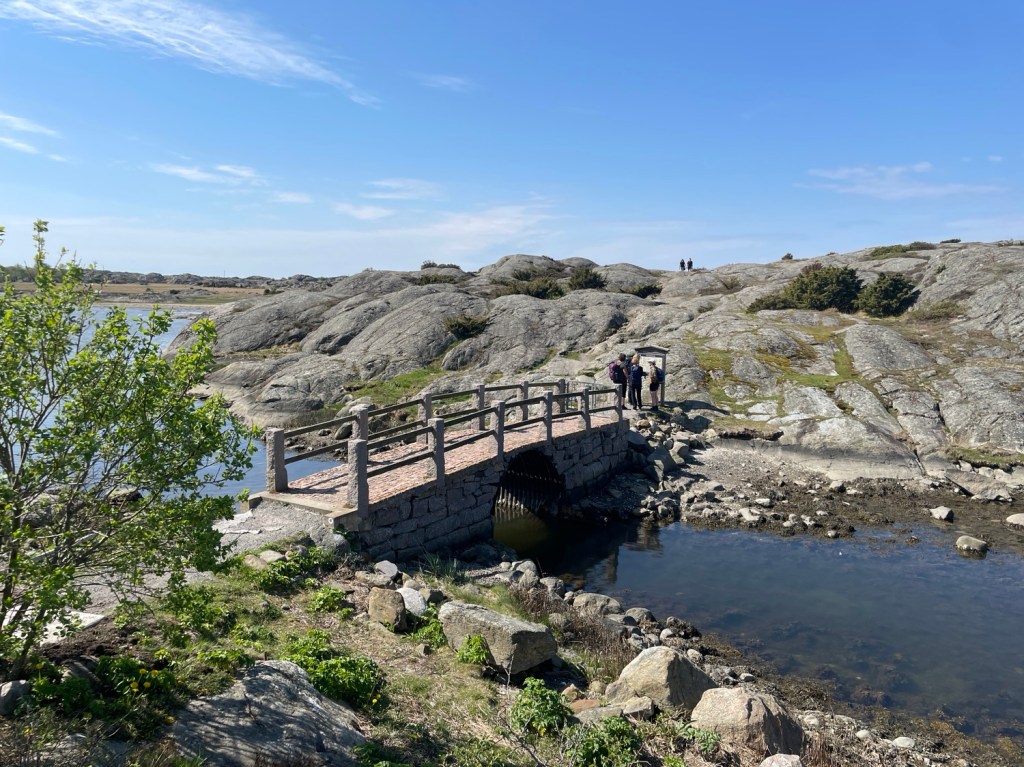 Vandring på Brännö och Galterö 4/5&nbsp;2024