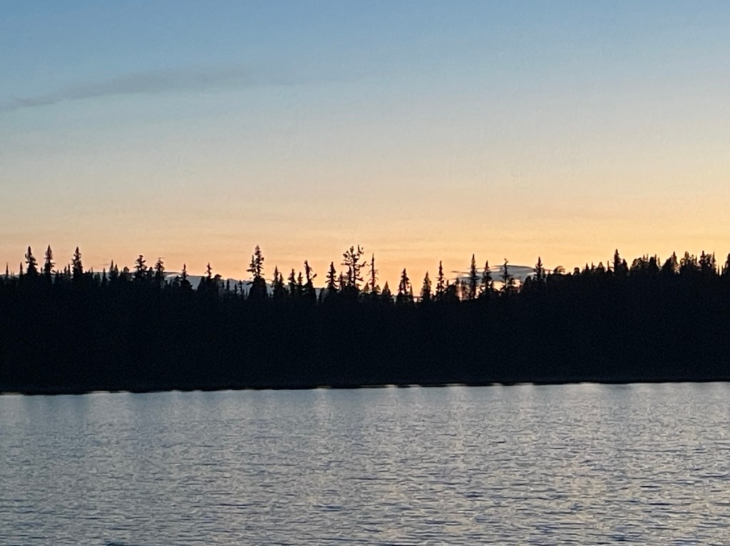MTB i Kronogård fjällurskogs naturreservat 25-26/8&nbsp;2024