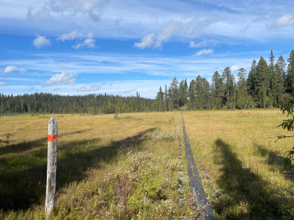 Evenemang: Vandra i Kronogård fjällurskogs naturreservat 6-8/6&nbsp;2025