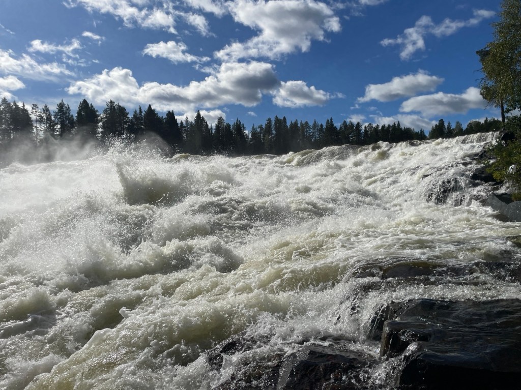Vandring i Storforsens Naturreservat 27-28/8&nbsp;2024