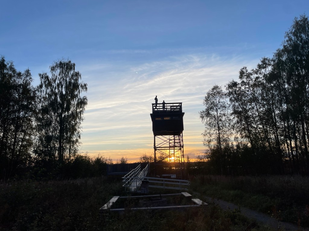 Äta ute del 26: Gammelstadsvikens Naturreservat 13/9&nbsp;2024