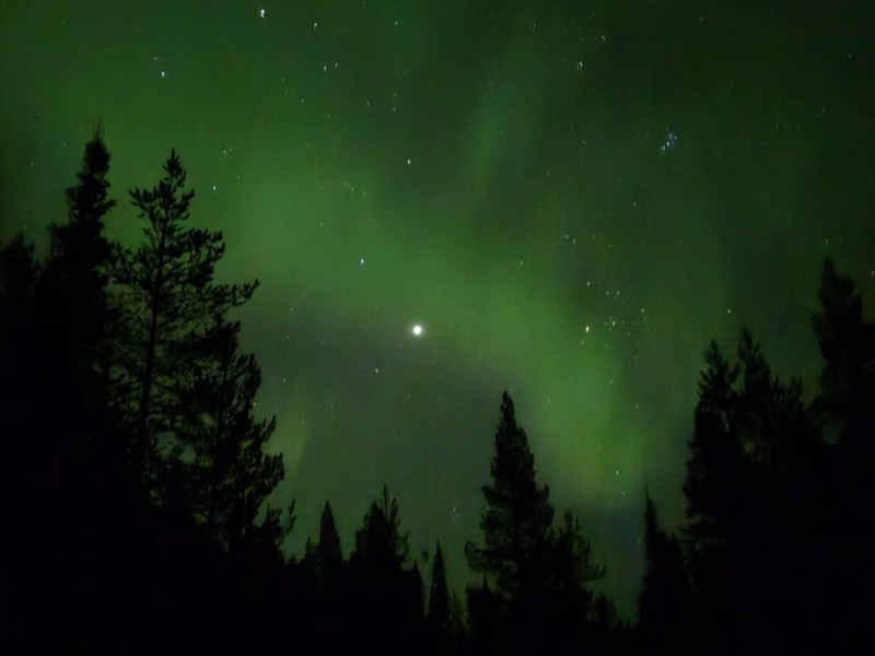 Mina 10 populäraste inlägg under&nbsp;2024