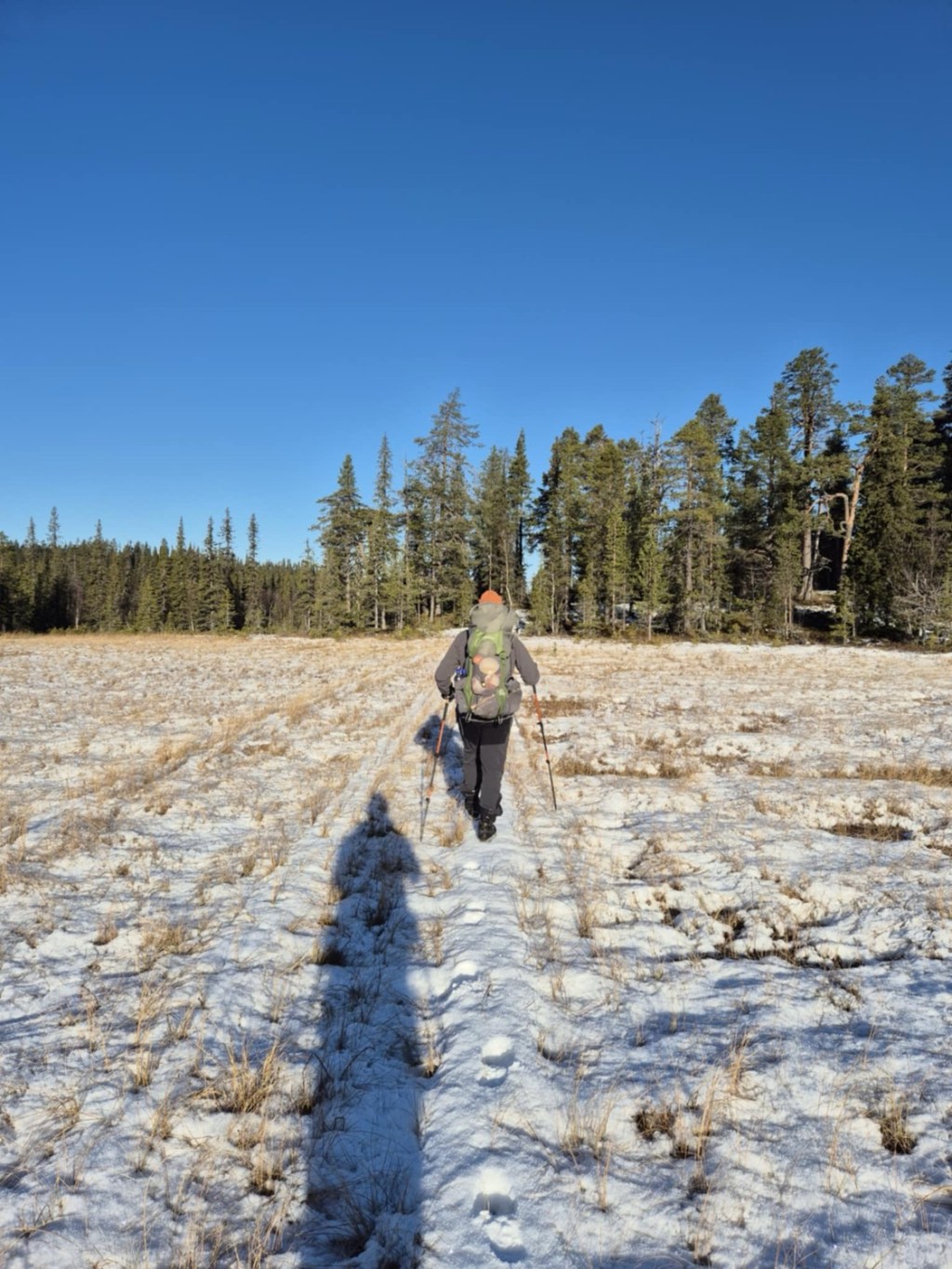 Vandring i Kronogård fjällurskogs naturreservat 12-13/10&nbsp;2024