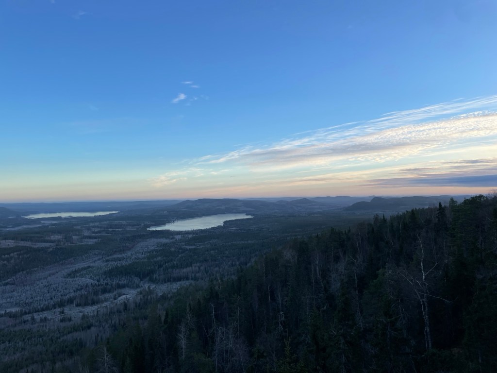 Äta ute del 28: Åbojens naturreservat 10/11&nbsp;2024