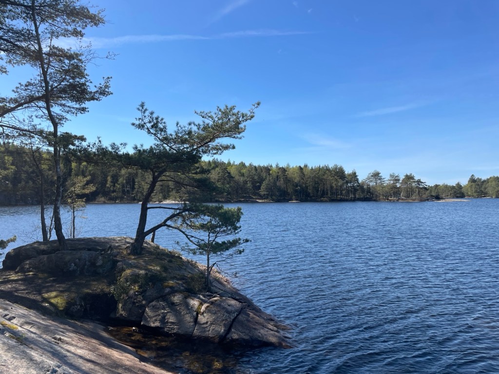 Vandring i Vättlefjäll Naturreservat 25/4&nbsp;2025