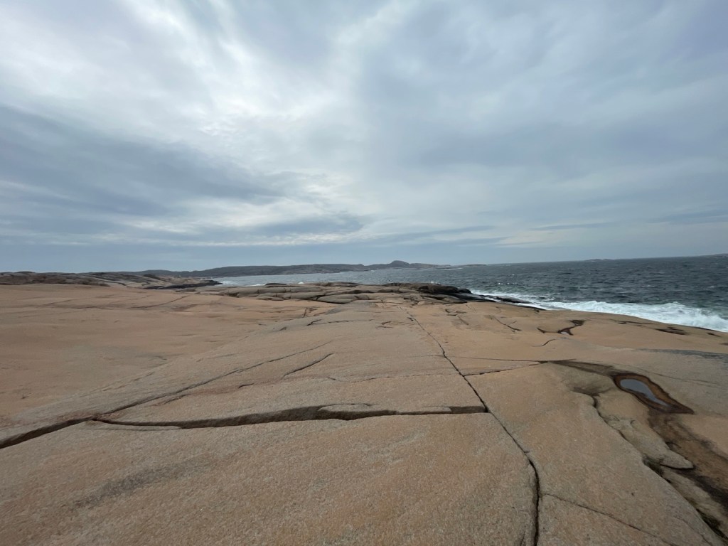 Vandring i Ramsvikslandets naturreservat 27-29/4&nbsp;2025